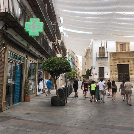 Entre El Centro Y La Mezquita Totalmente Climatizado Parking Gratuito Lägenhet Córdoba Exteriör bild